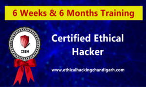 CEH-Chandigarh-school-of-ethical-hacking